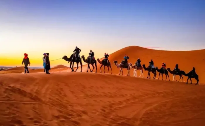 A group of travelers riding camels across the sandy desert, promoting a Morocco travel package adventure.