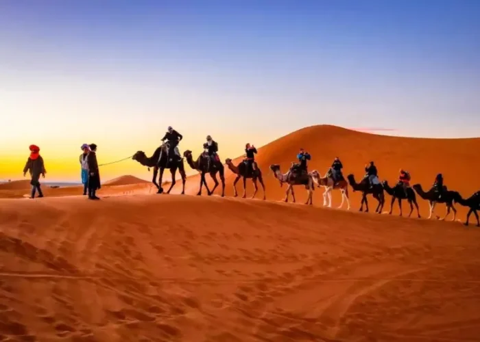 A group of travelers riding camels across the sandy desert, promoting a Morocco travel package adventure.