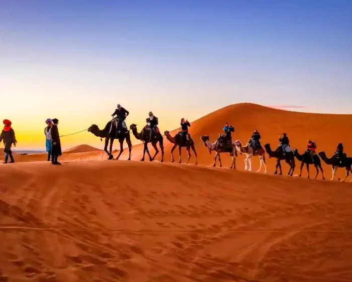A group of travelers riding camels across the sandy desert, promoting a Morocco travel package adventure.