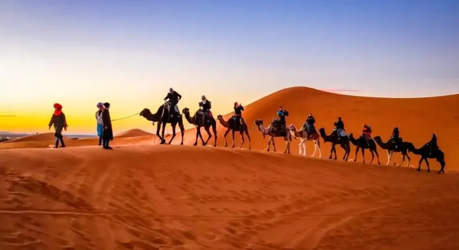A group of travelers riding camels across the sandy desert, promoting a Morocco travel package adventure.