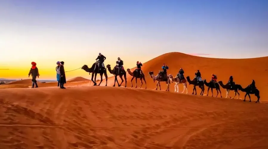 A group of travelers riding camels across the sandy desert, promoting a Morocco travel package adventure.