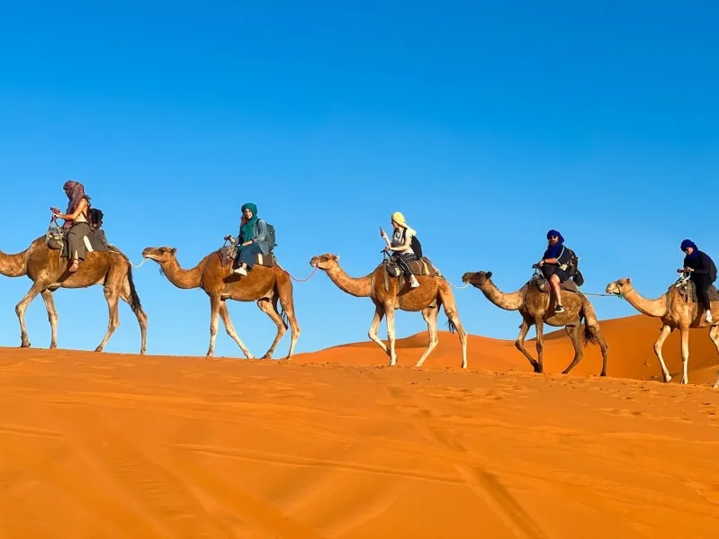 A group of travelers riding camels across the sandy desert landscape in Morocco, featured in a travel guide.