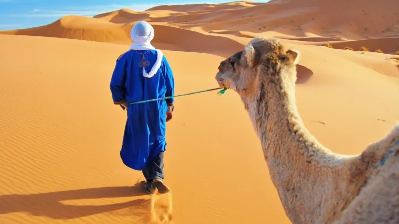 A man walks alongside a camel in the desert, showcasing the experience offered by the Best Morocco Private Tour Company. 