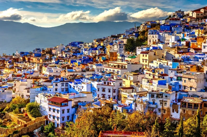 A sprawling city landscape featuring numerous buildings under a cloudy sky, with residential areas, trees, and mountains in the background.