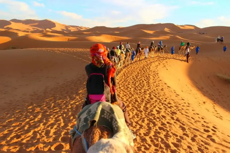 Tourists riding camels across the sandy 3 day desert tour from Marrakech. 