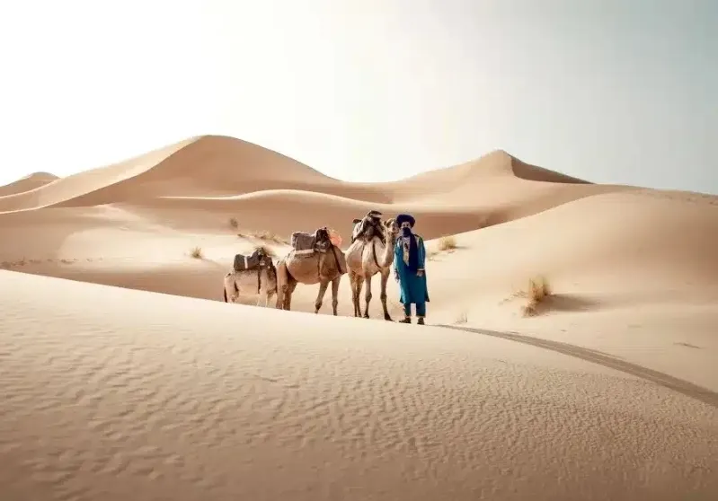 A man stands beside two camels in a vast desert, promoting private tours of Morocco's stunning landscapes.