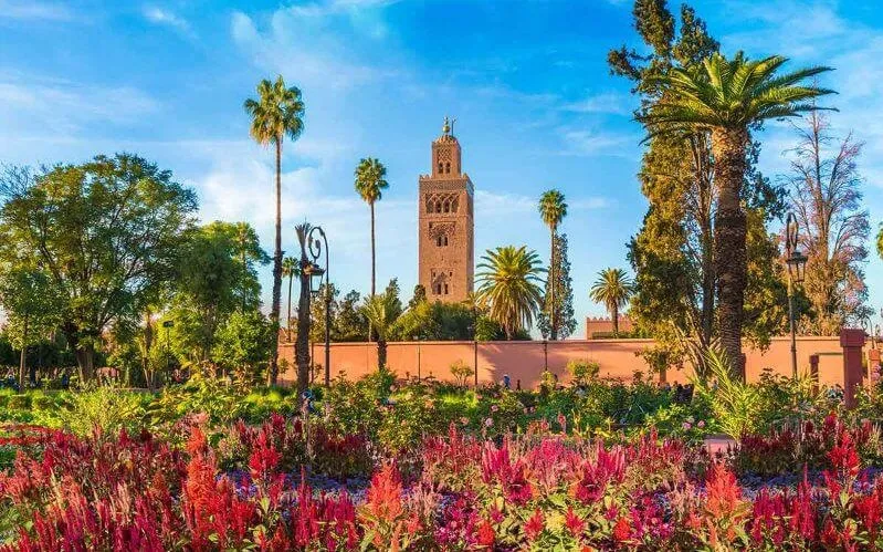 Scenic view of Marrakech, Morocco, showcasing vibrant architecture and culture, promoting the best tours in the region.