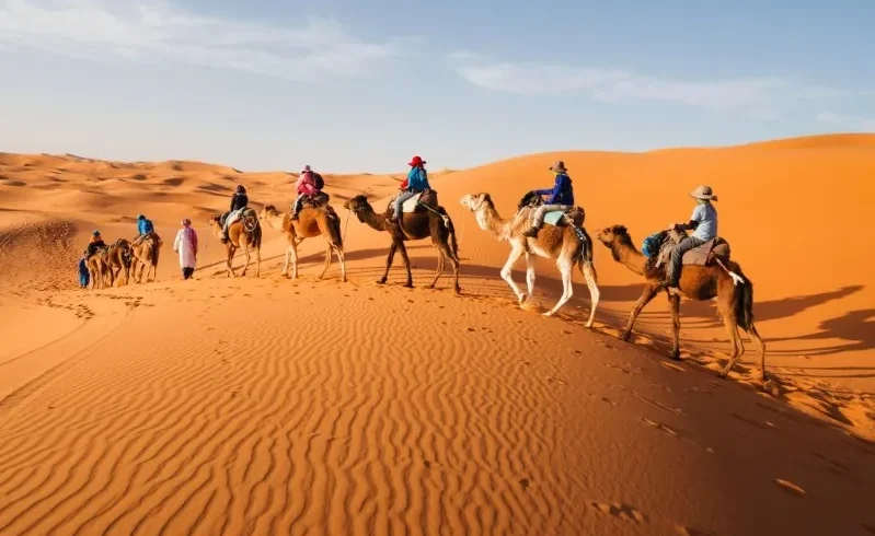 A group of people riding camels across the sandy landscape of the Moroccan Desert under a clear blue sky.
