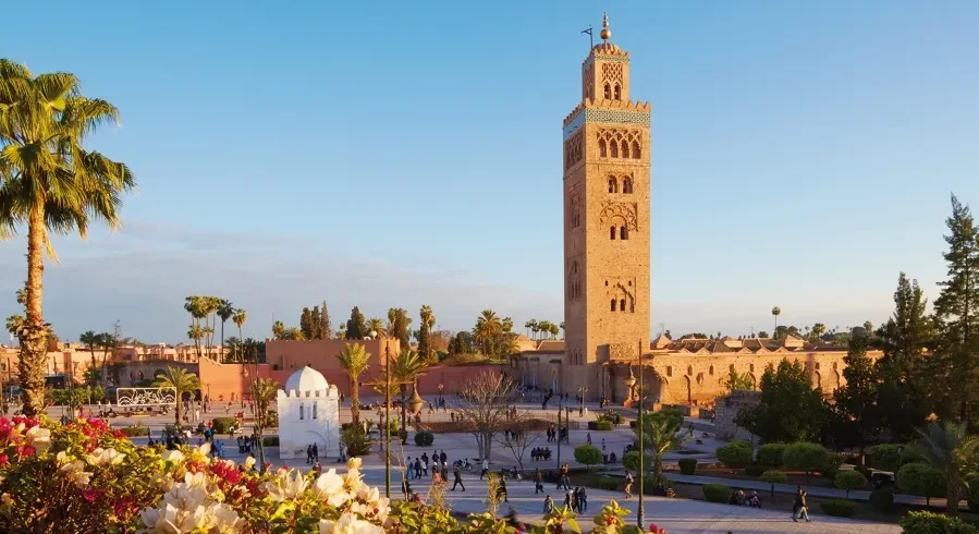 Camels walking along a beach at sunset, capturing the essence of a Moroccan holiday.