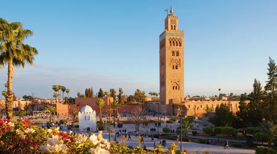 Camels walking along a beach at sunset, capturing the essence of a Moroccan holiday.