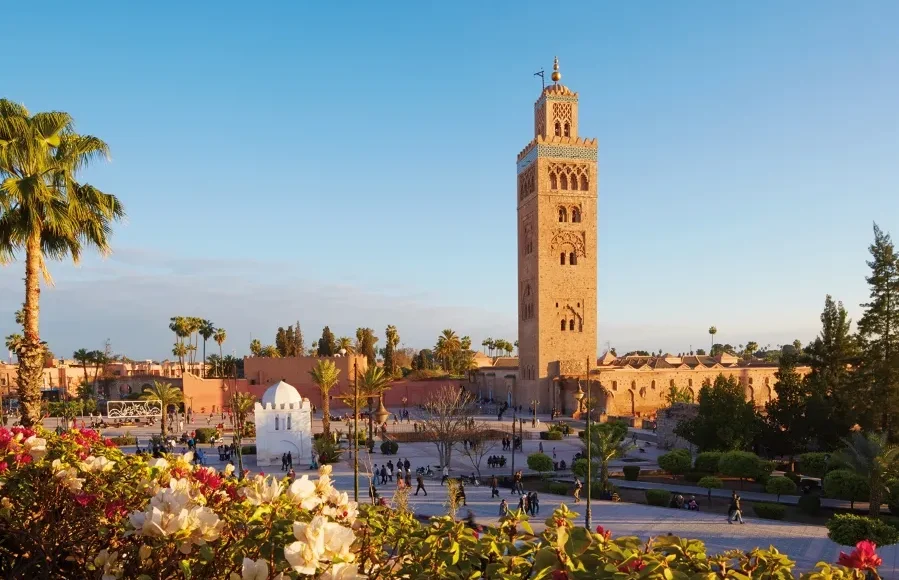 Camels walking along a beach at sunset, capturing the essence of a Moroccan holiday.