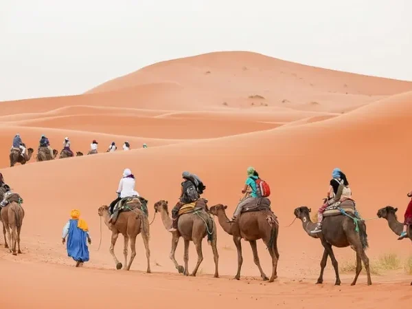 A group of people riding camels across the Moroccan sand dunes under a clear blue sky.