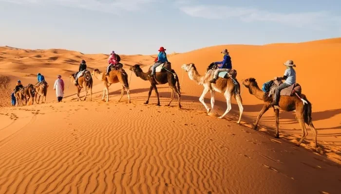 A group of tourists riding camels across the sandy desert landscape during a private tour in Morocco.