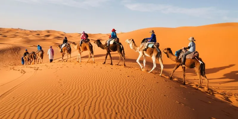 A group of tourists riding camels across the sandy desert landscape during a private tour in Morocco.