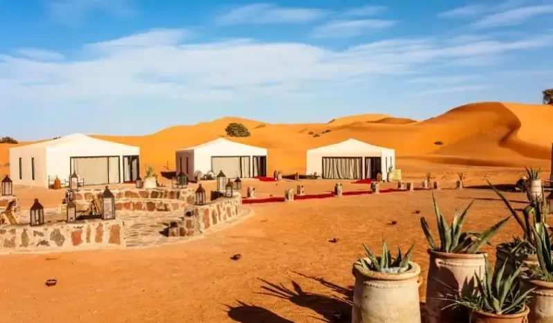 A Luxury travel to Morocco featuring elegant tents and vibrant cactus plants under a clear blue sky.
