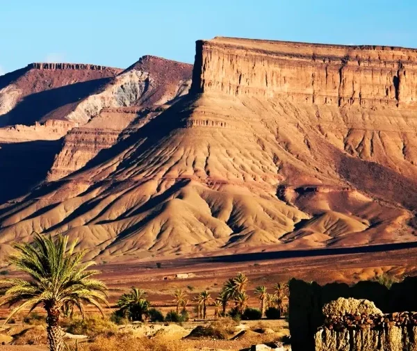 A desert landscape featuring mountains in the background and clusters of palm trees scattered throughout the scene.