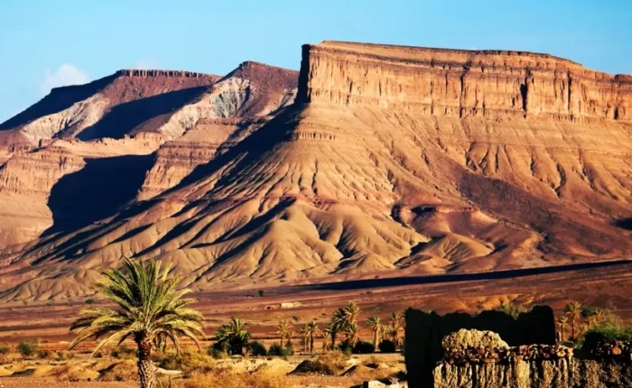 A desert landscape featuring mountains in the background and clusters of palm trees scattered throughout the scene.