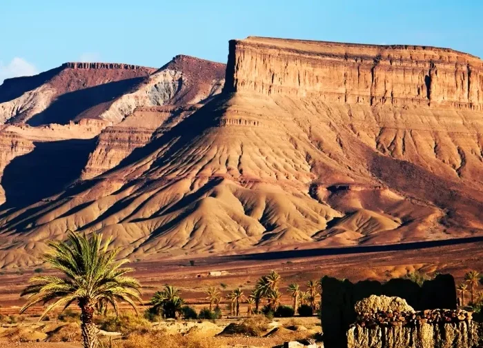 A desert landscape featuring mountains in the background and clusters of palm trees scattered throughout the scene.