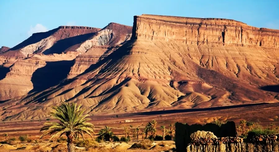 A desert landscape featuring mountains in the background and clusters of palm trees scattered throughout the scene.