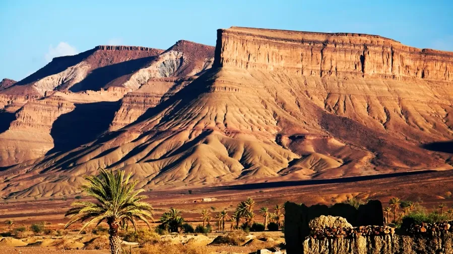 A desert landscape featuring mountains in the background and clusters of palm trees scattered throughout the scene.