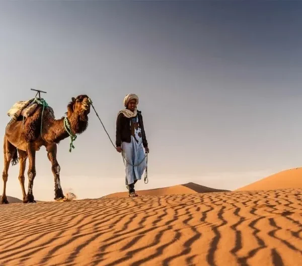 Visit Moroccan Desert