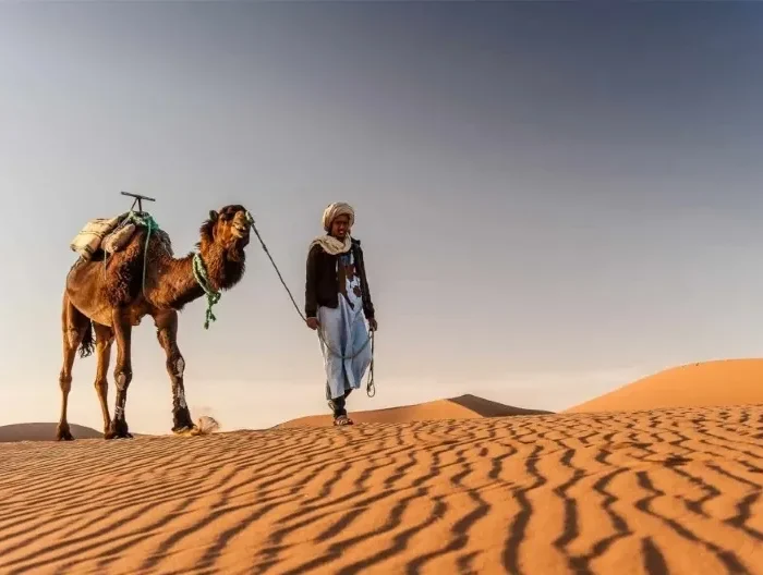 Visit Moroccan Desert