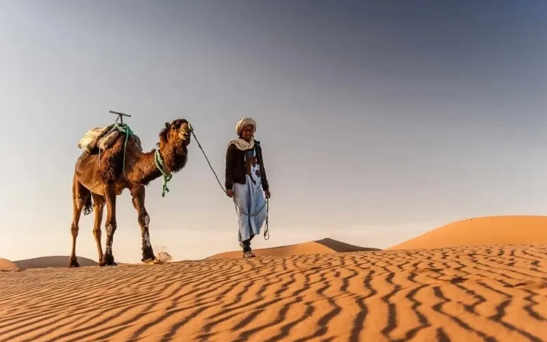 Visit Moroccan Desert