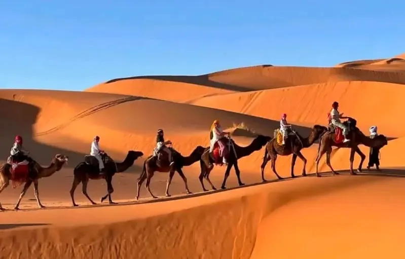 Tourists on camels journeying through the scenic Moroccan Desert Trips, showcasing the beauty of desert exploration.
