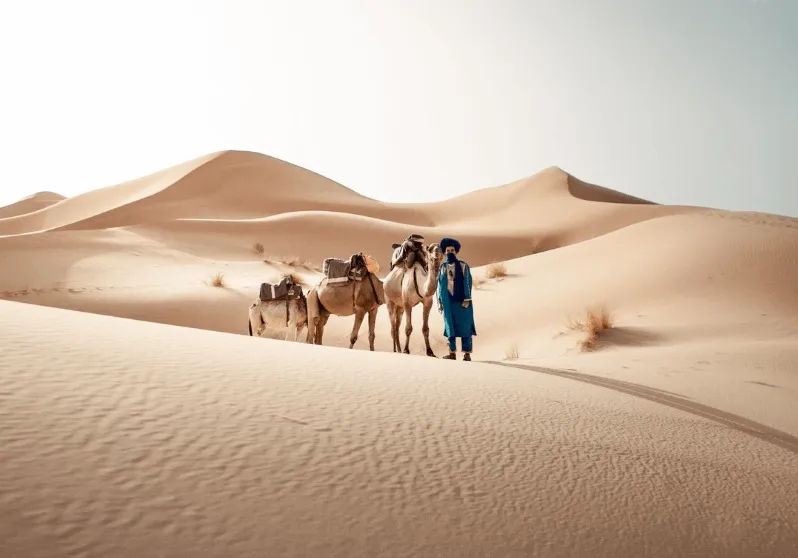 A man walks alongside two camels in a vast Moroccan desert landscape, showcasing the essence of desert travel.