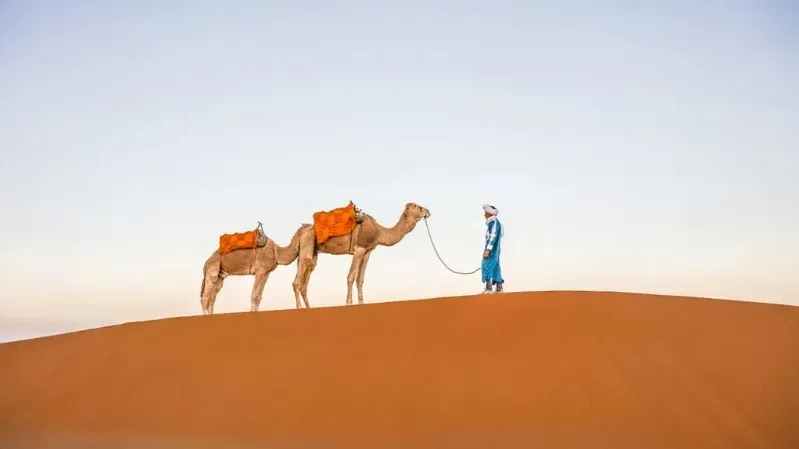 Visit Moroccan Desert, a man poses with two camels, surrounded by vast stretches of golden sand and bright sunlight.