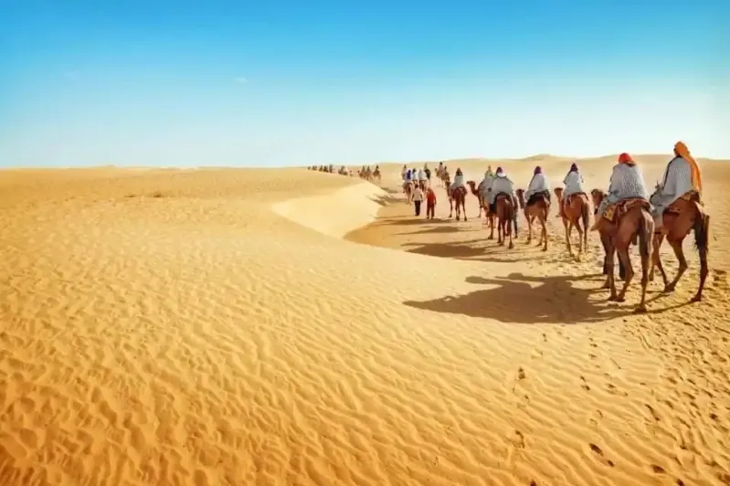 A group of people riding camels across the sandy landscape of the Moroccan Desert under a clear blue sky.