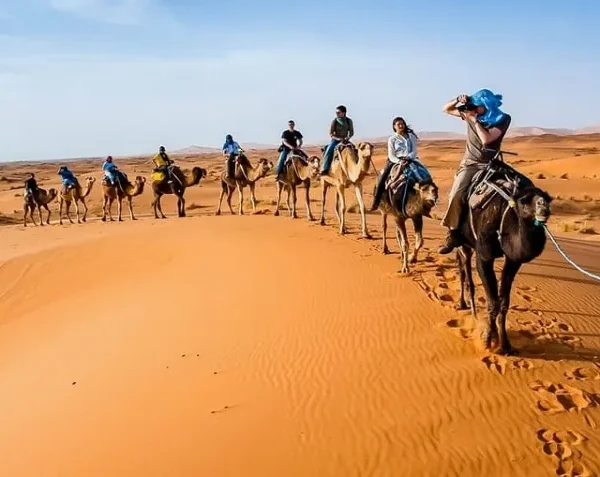 A group of tourists riding camels through the Moroccan desert, showcasing a unique adventure offered by a tour company.