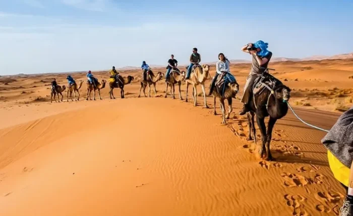 A group of tourists riding camels through the Moroccan desert, showcasing a unique adventure offered by a tour company.