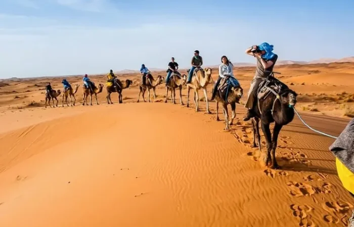 A group of tourists riding camels through the Moroccan desert, showcasing a unique adventure offered by a tour company.