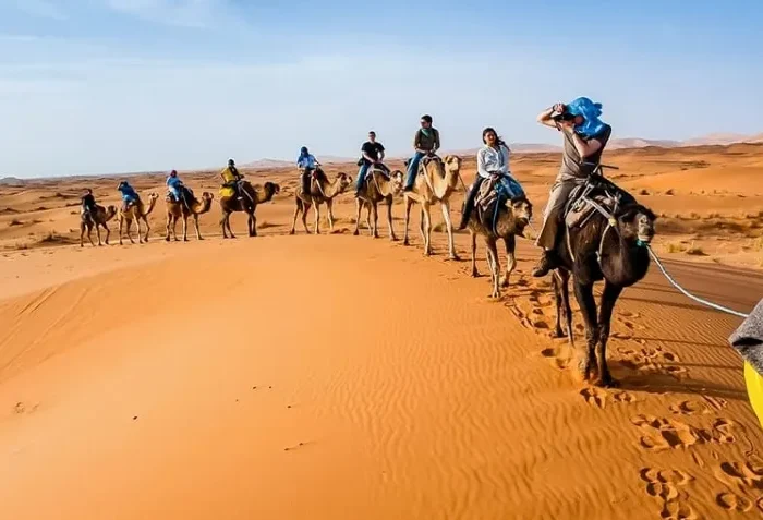 A group of tourists riding camels through the Moroccan desert, showcasing a unique adventure offered by a tour company.