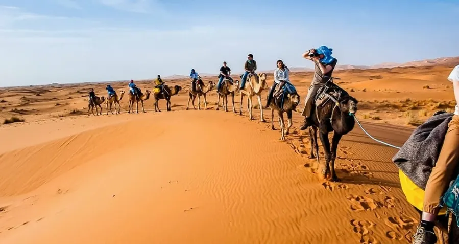 A group of tourists riding camels through the Moroccan desert, showcasing a unique adventure offered by a tour company.