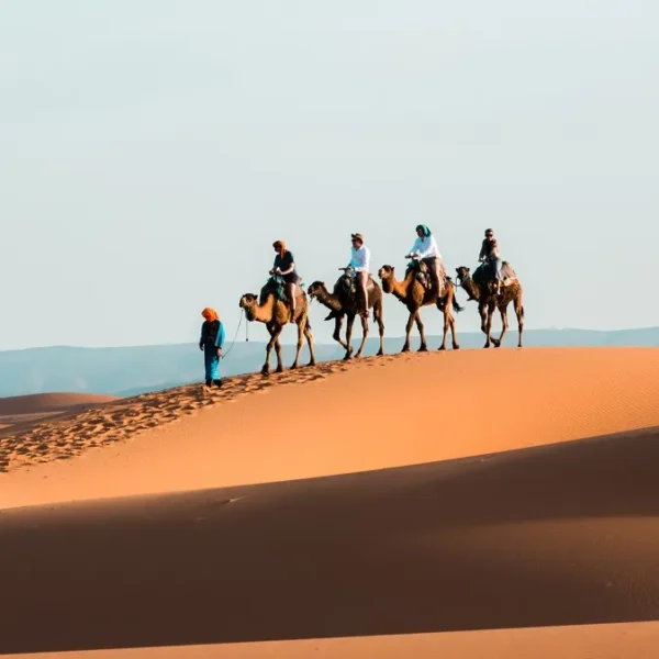 A group of travelers enjoying a camel ride during a 10-day itinerary in Morocco.