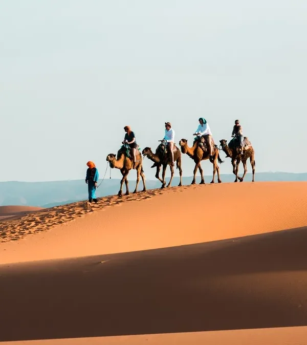 A group of travelers enjoying a camel ride during a 10-day itinerary in Morocco.