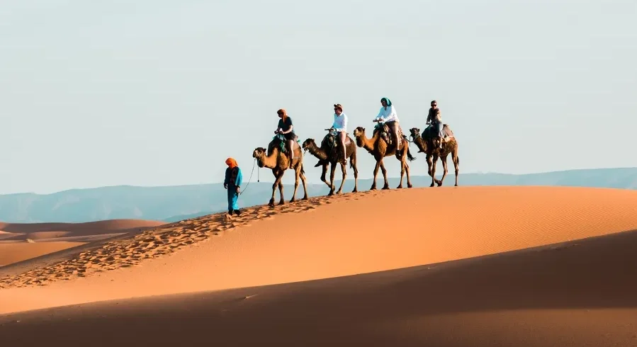 A group of travelers enjoying a camel ride during a 10-day itinerary in Morocco.