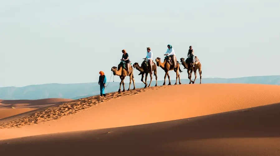 A group of travelers enjoying a camel ride during a 10-day itinerary in Morocco.