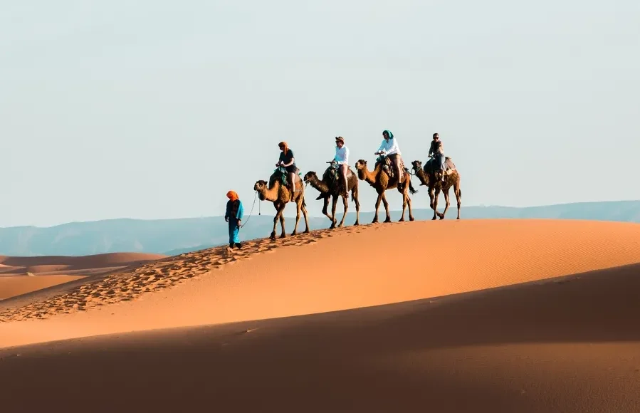 A group of travelers enjoying a camel ride during a 10-day itinerary in Morocco.