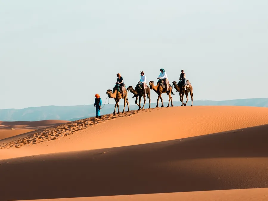 A group of travelers enjoying a camel ride during a 10-day itinerary in Morocco.