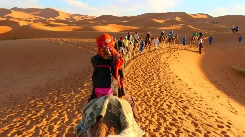 Tourists riding camels across the sandy dunes of the Moroccan desert, showcasing a unique Morocco vacation travel guide.