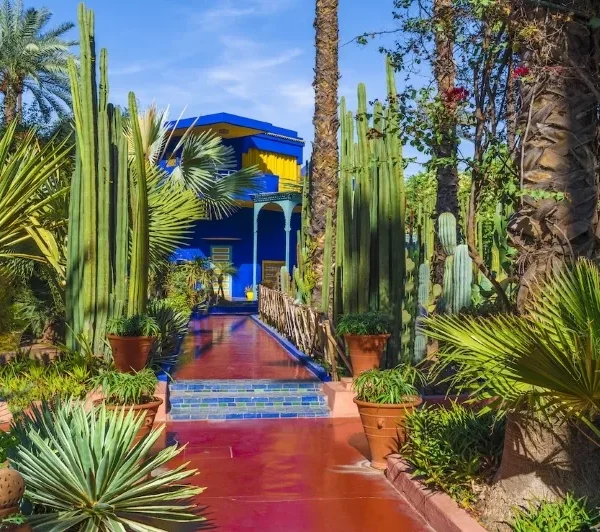 Lush garden at Jardin du Maroc in Marrakech, showcasing vibrant plants and serene pathways, ideal for luxury tours.