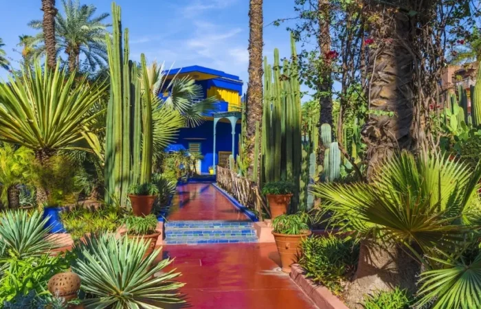 Lush garden at Jardin du Maroc in Marrakech, showcasing vibrant plants and serene pathways, ideal for luxury tours.
