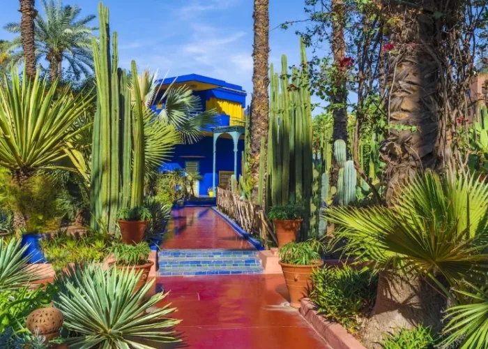 Lush garden at Jardin du Maroc in Marrakech, showcasing vibrant plants and serene pathways, ideal for luxury tours.