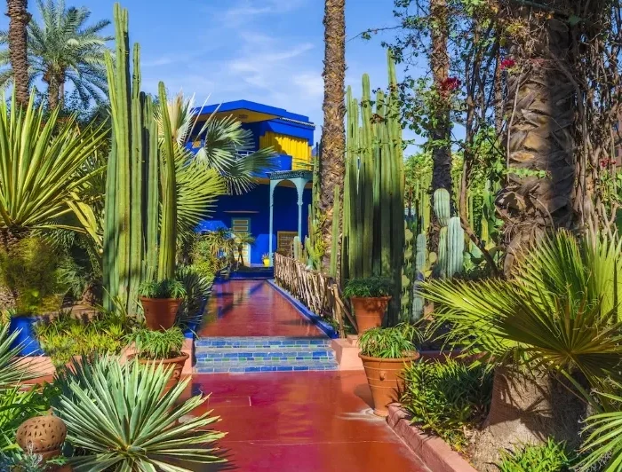 Lush garden at Jardin du Maroc in Marrakech, showcasing vibrant plants and serene pathways, ideal for luxury tours.