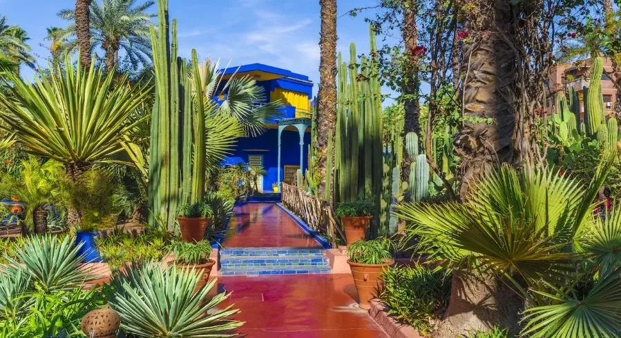 Lush garden at Jardin du Maroc in Marrakech, showcasing vibrant plants and serene pathways, ideal for luxury tours.