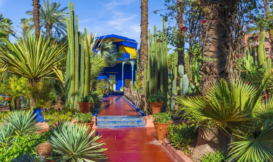 Lush garden at Jardin du Maroc in Marrakech, showcasing vibrant plants and serene pathways, ideal for luxury tours.