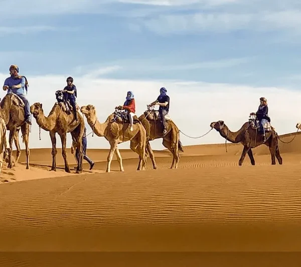 A group of travelers riding camels across the sandy dunes of the Moroccan desert during their trip.